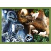 vyrp12 244534607 trefl puzzle 4w1 jurassic world dinozaury 2 u