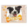 vyr 3869 obal pp s patentem a4 little dog