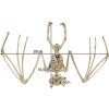 vyrp11 4146cze pl Kostra netopyra dekorace 30cm Malatec 22005 16898 10