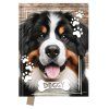 vyr 4606 pamatnik junior 14x18 cm 80 listu ciry doggy