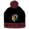 CHLAPECKÁ ZIMNÍ ČEPICE HARRY POTTER HOGWARTS (Velikost 54)