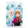 SPISOVÁ SLOŽKA - DESKY NA SEŠITY A4 DISNEY FROZEN 2 > varianta 002-316