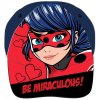 Kšiltovka Kouzelná Beruška Lady Bug > varianta 78355