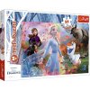 PUZZLE MAXI DISNEY FROZEN 2 PŘI HLEDÁNÍ DOBRODRUŽSTVÍ 24 dílků > varianta 14322