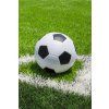 ST 128505 fleece deka fotbal