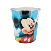 plastovy smetny kos mickey mouse 02208
