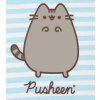 NOČNÍ KOŠILKA PUSHEEN (dospělé velikosti) em 005 tyrkysová (Velikost M)