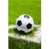 FLÍSOVÁ DEKA FOTBAL JF 24bl045 (Velikost uni)