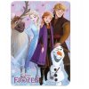 FLÍSOVÁ DEKA FROZEN ML fro36-5429 (Velikost uni)