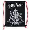 IZOLOVANÝ VAK HARRY POTTER de lux Stor 75355 (Velikost uni)