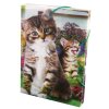 Krabice na sešity s gumou A5,motiv kočky,3D efekt