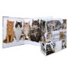 Designový pákový pořadač A4 7cm karton motiv Animals - kočky