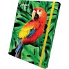 Box na sešity s gumou JUNGLE A4 (315x240mm) 130gr/m2