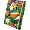 Box na sešity s gumou JUNGLE A4 (315x240mm) 130gr/m2