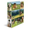 Designový pákový pořadač A4 7cm karton motiv Animals- koňská louka