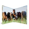 Designový pákový pořadač A4 7cm karton motiv Animals- koňská louka