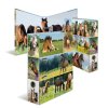 Designový pákový pořadač A4 7cm karton motiv Animals- koňská louka