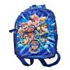 Dětský batůžek Paw Patrol Skye/Tlapková patrola, rozměry 29 x 23 x 11 cm