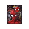 Taška dárková S 18x11x23 cm Spiderman