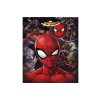 Taška dárková M 26x32x12 cm Spiderman