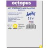 Malířské plátno OCTOPUS MINI Hobby 280 g 8 x 10 cm