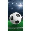 ST 220973 osuska fotbalovy stadion