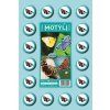Pexeso A4 - Motýli