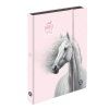 Oxybag Box na sešity A4 Jumbo kůň romantic 5-71026