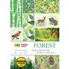 Blok A4 80g/m2 16 archů 25 motivů FOREST