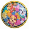 Míč Paw Patrol 230mm
