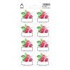 maliny natural product 8 vodeodolnych etiket