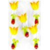 Narcis Gee památník 13x16cm Divoká Kočk
