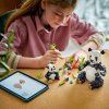 Divoká zvířata: Pandí rodinka
