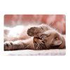 podlozka na stul 60x40 cm little cat