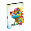 box na sesity a4 jumbo chameleon