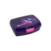 box na svacinu 550 ml butterfly