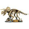 Dinosauří fosilie: Triceratops