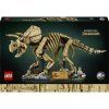 Dinosauří fosilie: Triceratops
