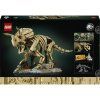 Dinosauří fosilie: Triceratops