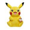 Pikachu PLYŠ 60 cm NEW