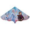 Drak ELSA