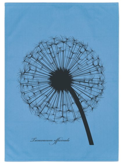 Pampeliška modrá celá zmv1300