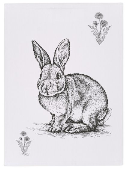 Králík bílá celá zmv1300