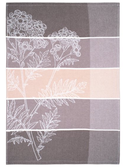 Vratič 2025 hnědá celá4 zmv1300