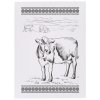 Kráva bílá celá zmv1300
