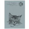 Kotě s drápkem šedá celá zmv1300