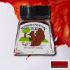 Drawing Inks 14ml Různé barvy