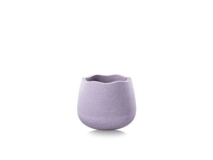 Base light violet CH