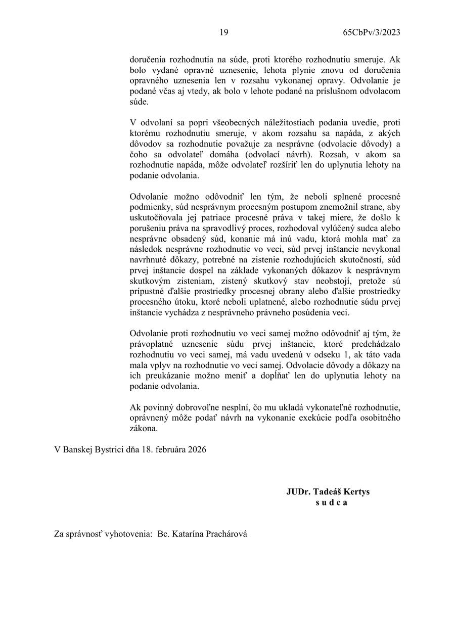 Rozsudok – strana 19