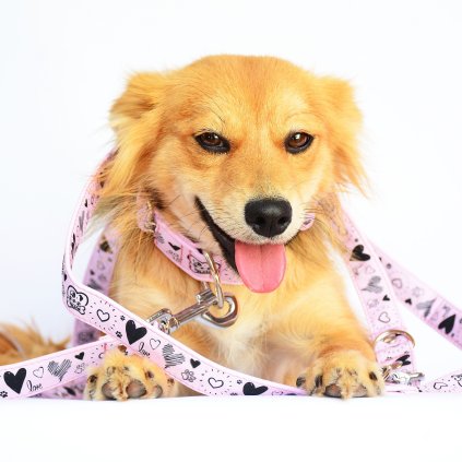 Prepínacie vodítko - baby pink
